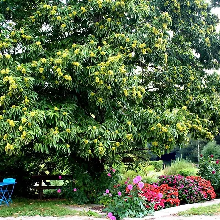 Printaniere, La Landre Le Clerjus