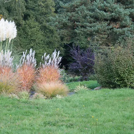 Printaniere, La Landre Bed & Breakfast 3*