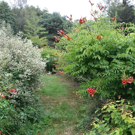 Printaniere, La Landre Bed & Breakfast 3*