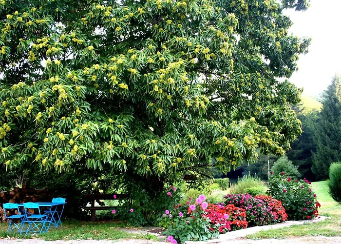 Printaniere, La Landre Le Clerjus